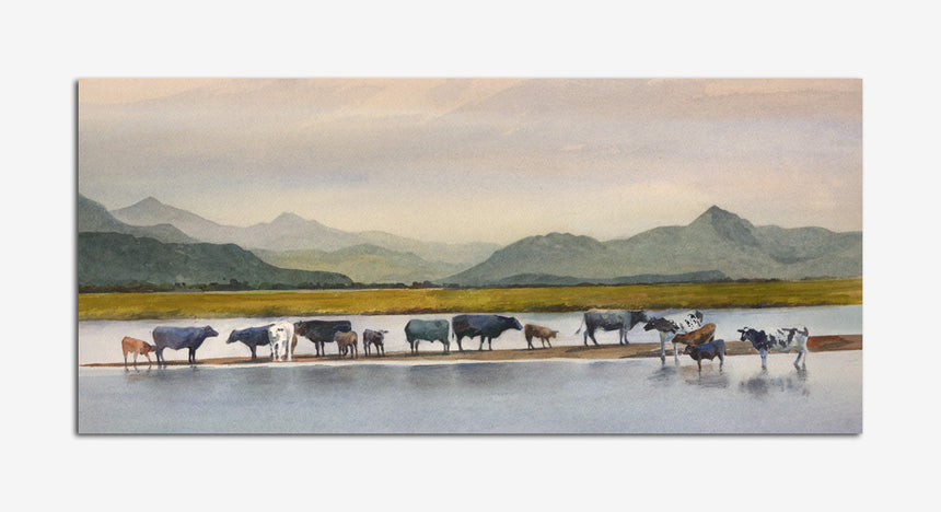 OR825 Diwrnod gwresog, Traeth Mawr