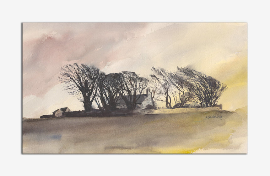 OR828 Eglwys Llanfaglan