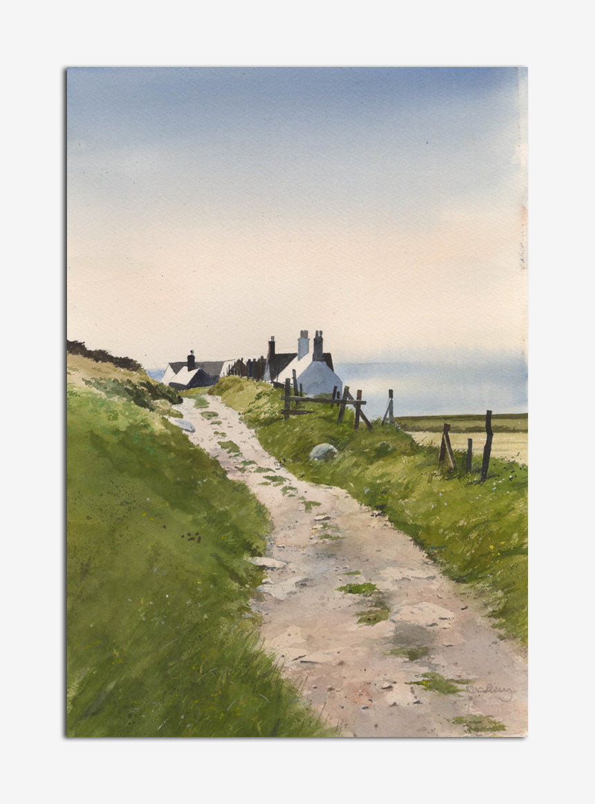 OR829 Scene on Ynys Enlli