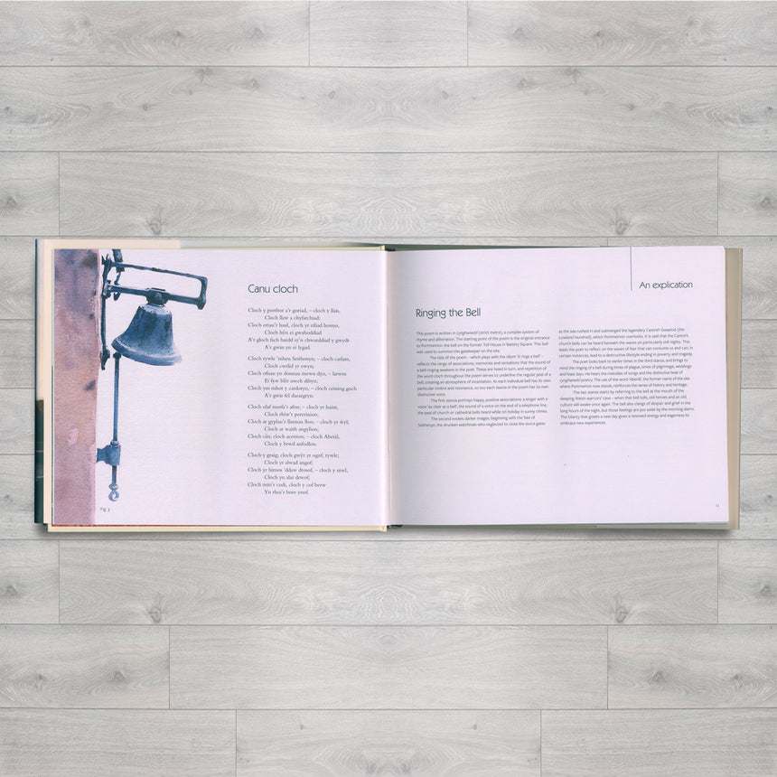 Portmeirion - An Artist's Perspective.