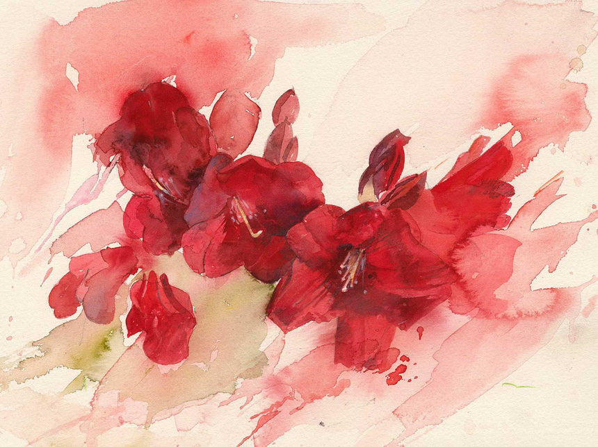 Spring Flower Collection