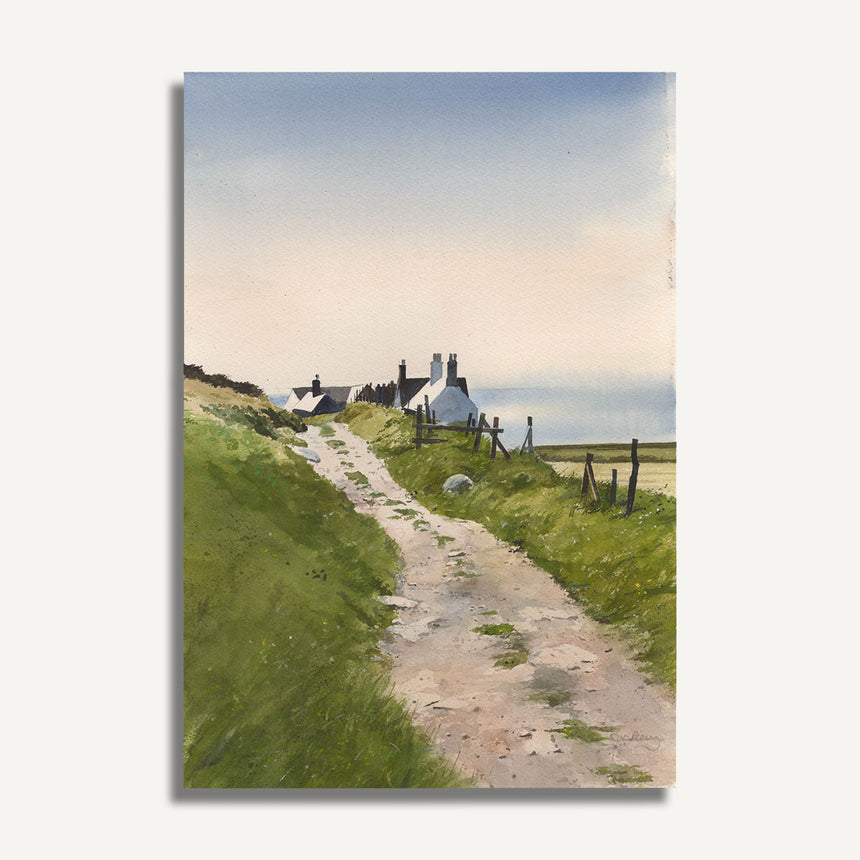 OR829 Scene on Ynys Enlli