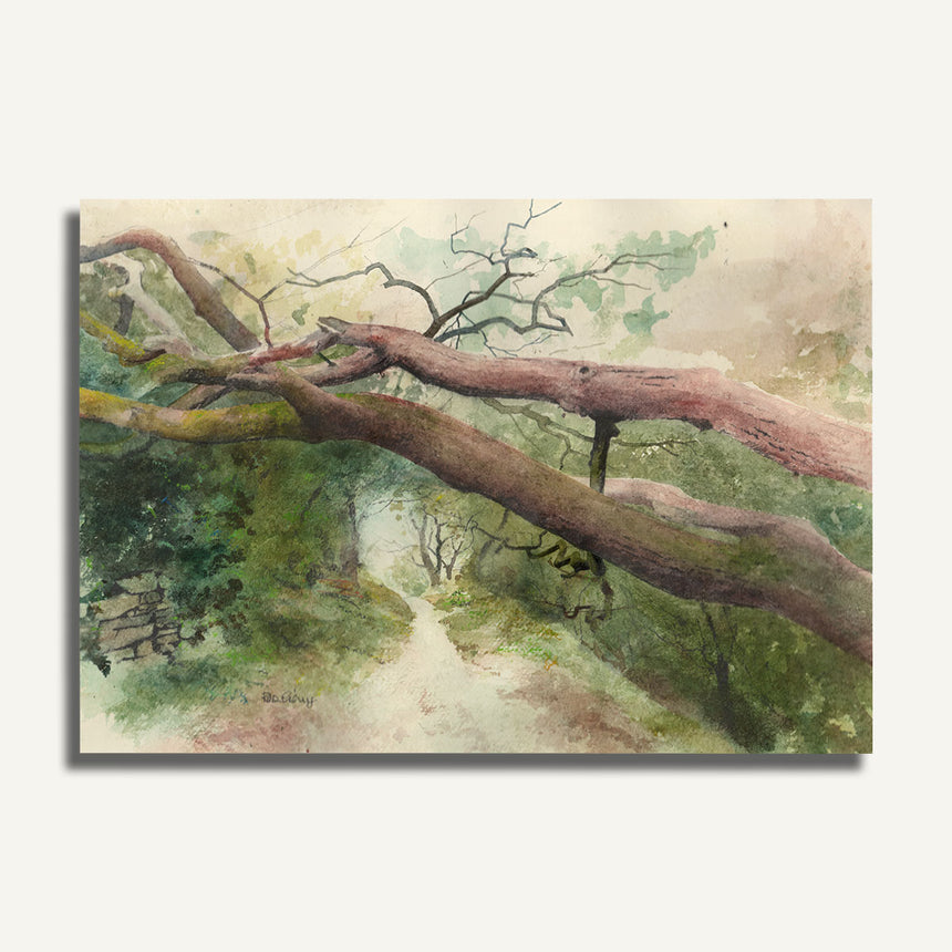 OR 852 Llwybr y Cariadon - Lovers Lane