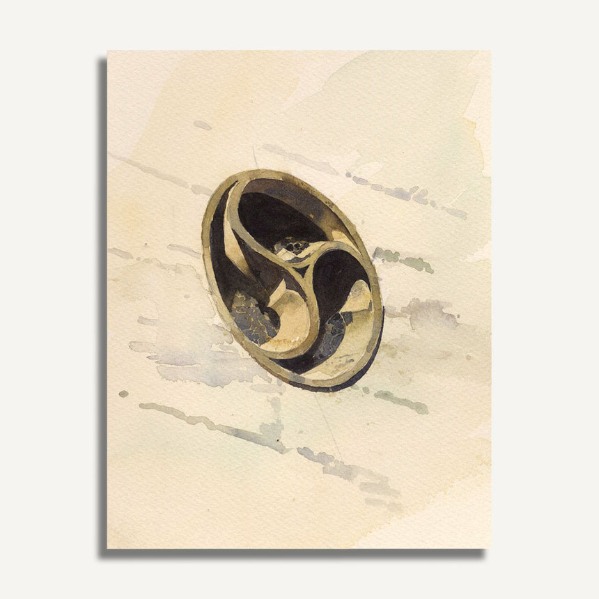 OR802 Ship Shop Window, Portmeirion