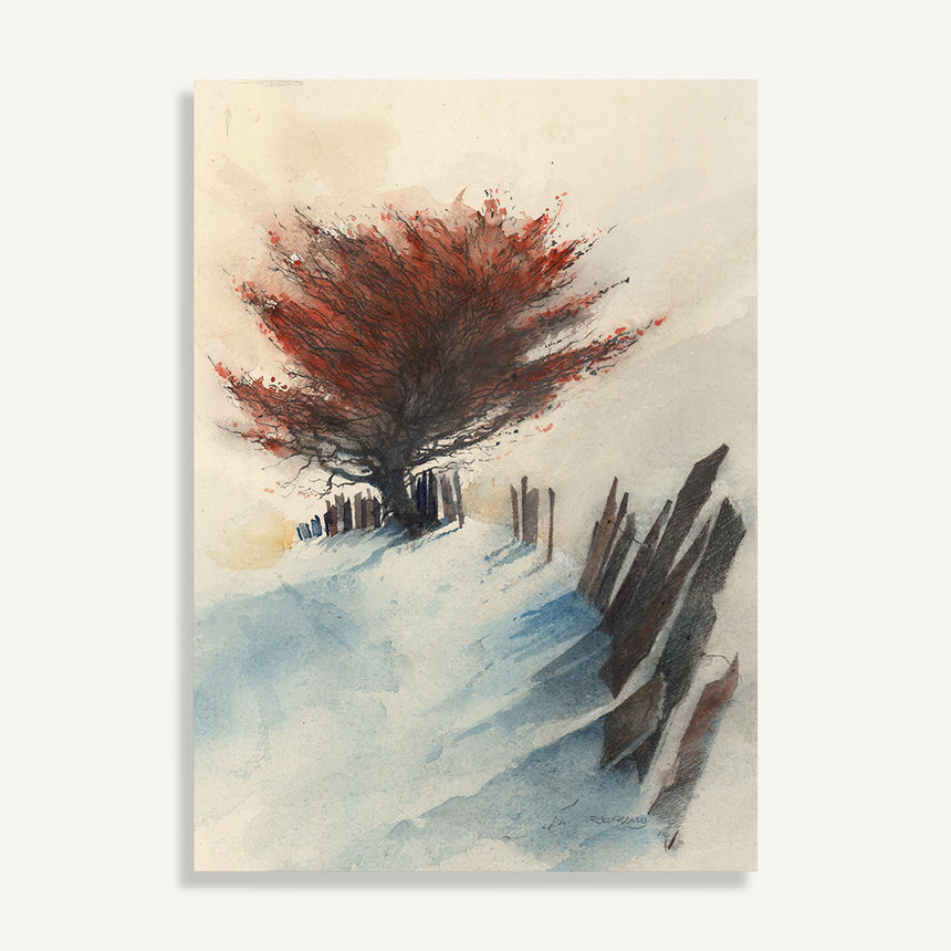 OR869 Track to the farm