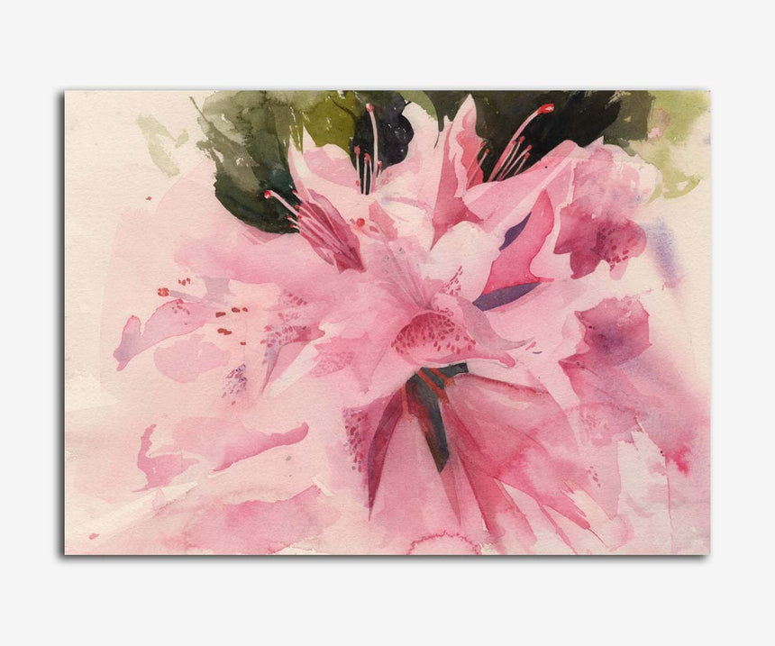 Azealea. A watercolour by Rob Piercy