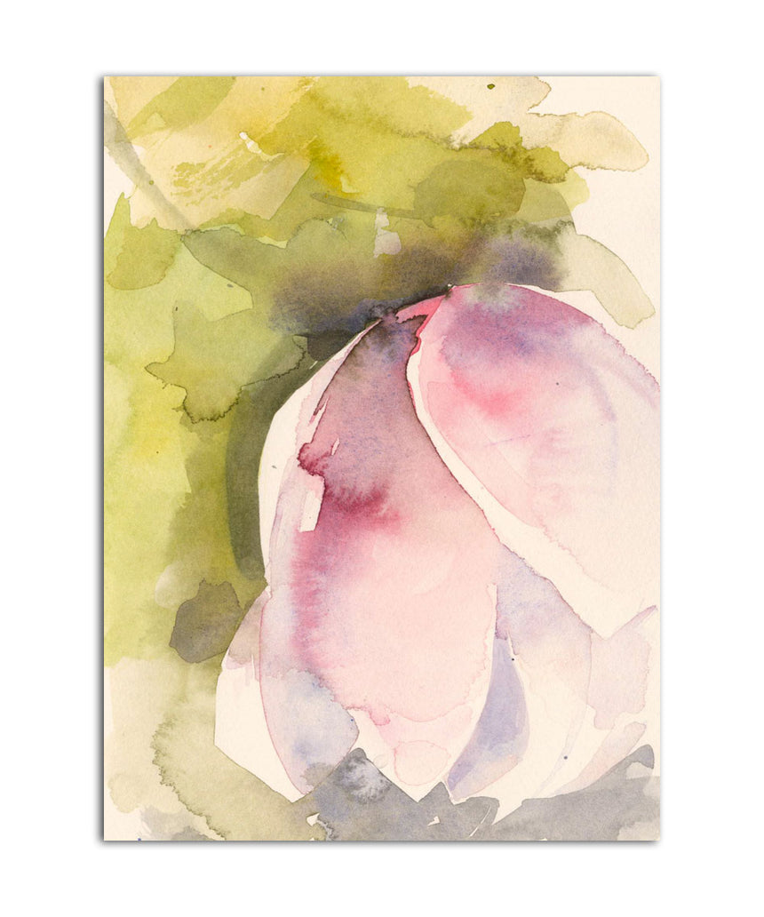 OR714 Helleborus