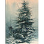PR159 Pine with pink sky