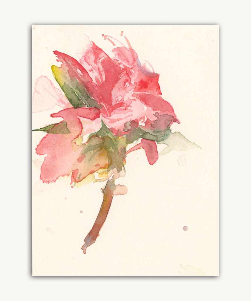 Rhododendron Study. A watercolour by Rob Piercy